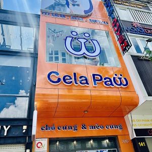 lam-bang-hieu-pet-shop-1